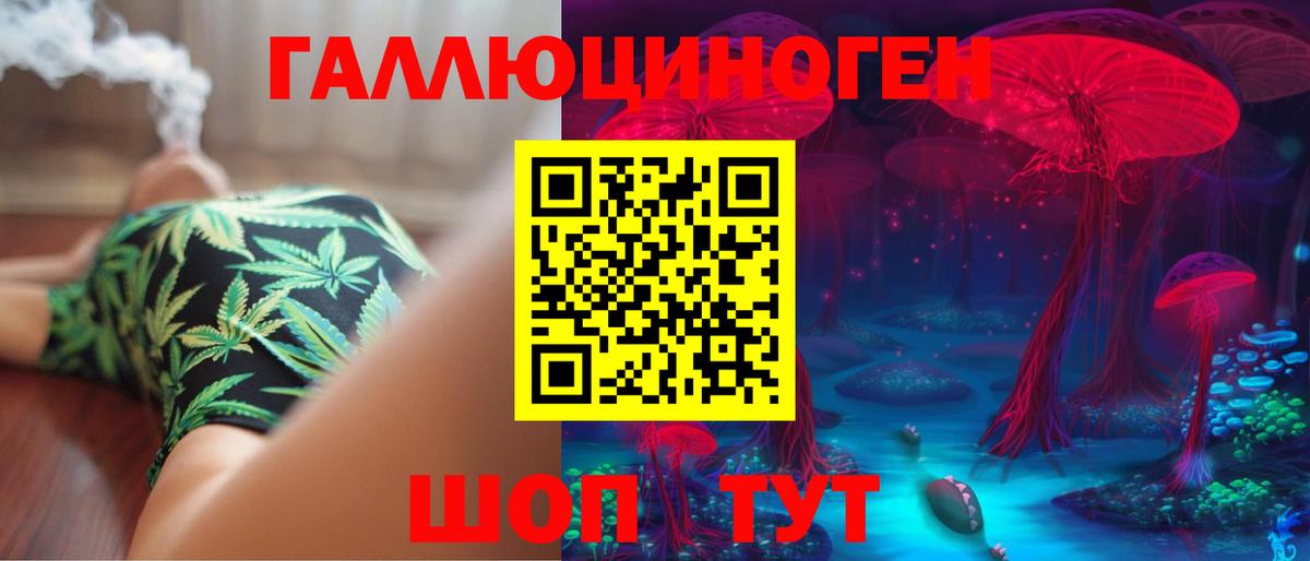 Сланцы  купить  цена  Вход с VPN  Псилоцибиновые грибы Psilocybine cubensis 